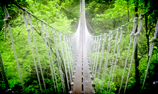 Zip Line Course Cable Bridge