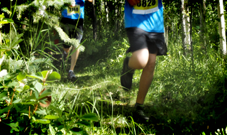 Trail Running Trail Running