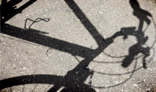 Shadow Shadow