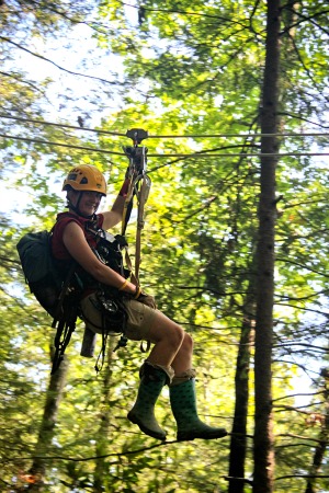 Up In The Treetops