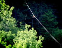 Zip Line Or Canopy Tour?