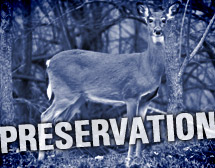 Saving habitat for Bambi!