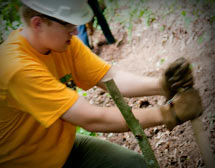 Scouts are all about service.