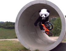 Trick shots are Dude Perfect's specialty. And Pandas.
