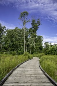 John Gottschalk Boardwalk winds along the banks of Goodrich Lake